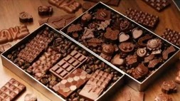 学分实践活动———百诺巧克力博物馆